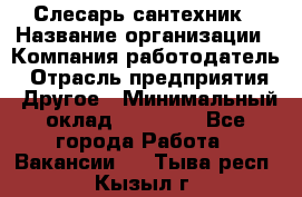 Слесарь-сантехник › Название организации ­ Компания-работодатель › Отрасль предприятия ­ Другое › Минимальный оклад ­ 15 000 - Все города Работа » Вакансии   . Тыва респ.,Кызыл г.